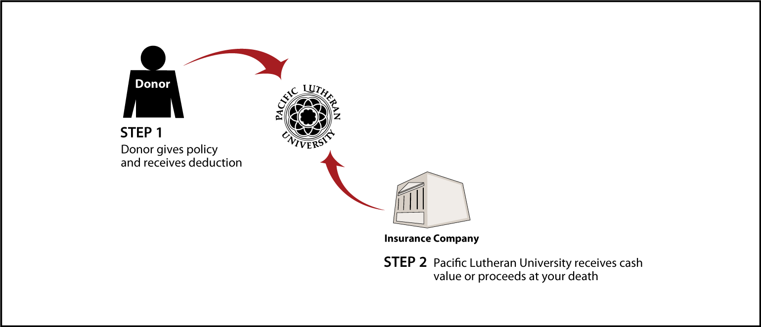 Life Insurance Policy Thumbnail